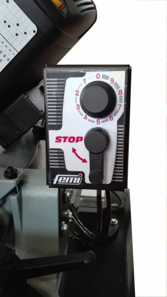 Femi 2200 DAXL Segatrice a nastro con basamento con discesa automatica - 8487024