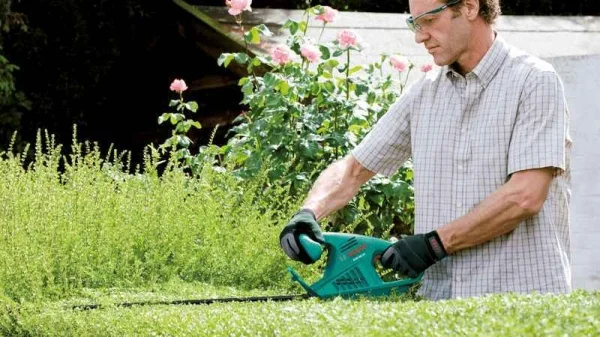 Bosch hobby easyhedgecut 55 tagliasiepi elettrico 450 w con lama 55 cm 0600847c02 - dettaglio 3