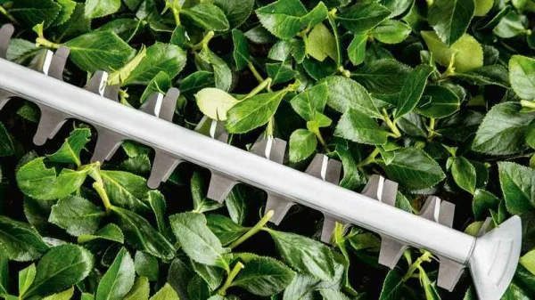 Bosch hobby advancedhedgecut 65 tagliasiepi elettrico 500 w con lama 65 cm 06008c0801 - dettaglio 5