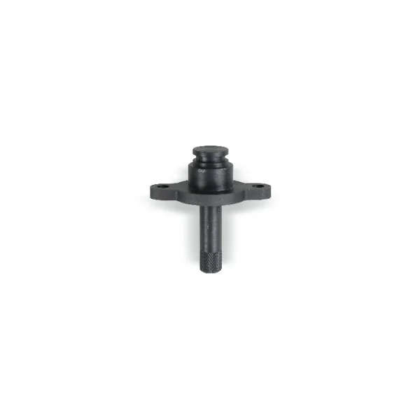 Beta 1464fg/cp4 falso regolatore per pompa bosch cp4 014640475 - dettaglio 1