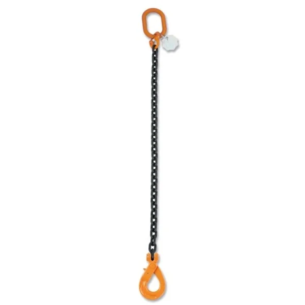 Robur 8091sl d8 pendente sollevamento con gancio self-locking 1 braccio 2 t 080910241 - dettaglio 1