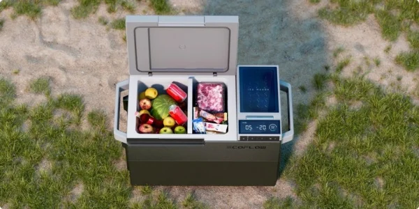 Ecoflow Bundle Glacier Frigorifero portatile con batteria inclusa - ECO60319