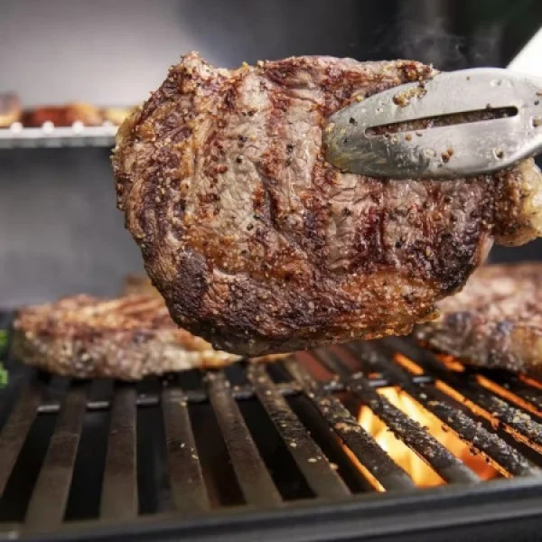 Weber genesis e-315 barbecue a gas 1500386 - dettaglio 7