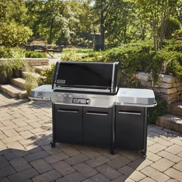 Weber summit fs38x e barbecue a gas 1500113 - dettaglio 3
