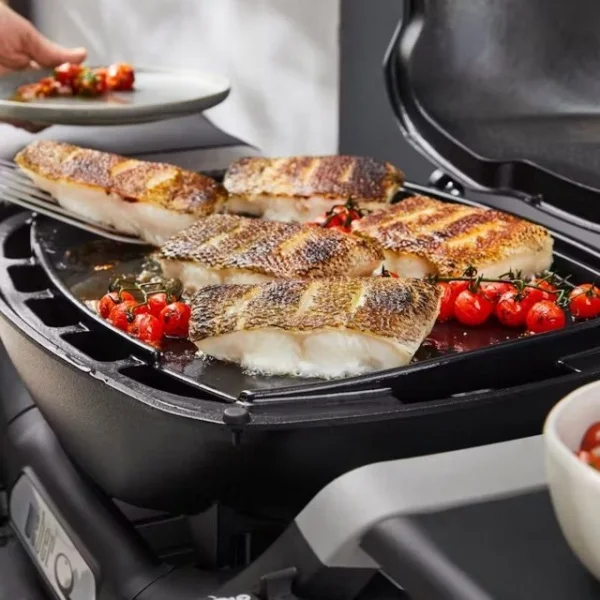 Weber 3400866 piastra in ghisa a tutta griglia per serie q1000 - dettaglio 4