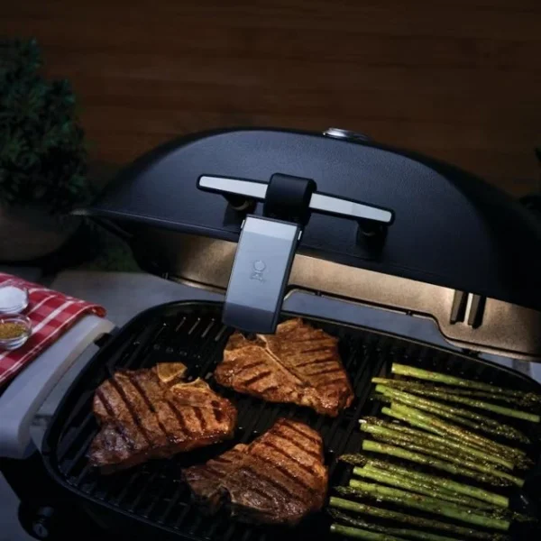 Weber 3400861 luce grill 'n go per serie q1000 e q2000 - dettaglio 2