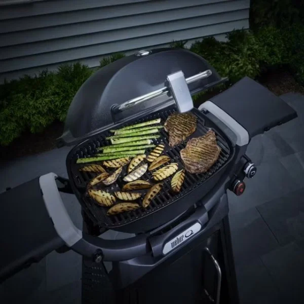 Weber 3400862 luce grill 'n go per serie q3000 - dettaglio 2