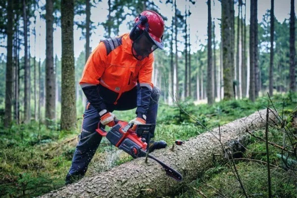 Einhell gp-lc 36/40 li bl - solo elettrosega 40 cm pxc brushless 36 v senza batterie 4600050 - dettaglio 2