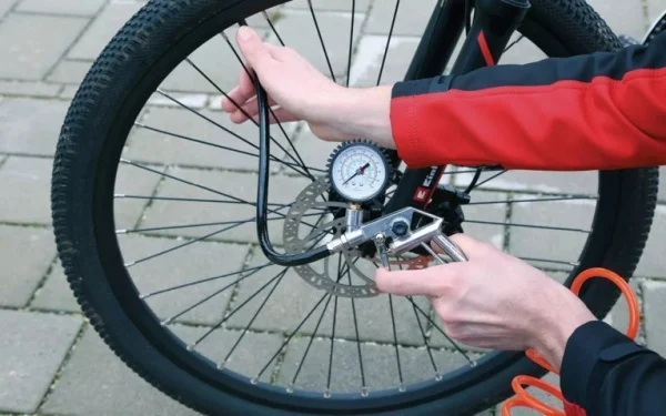Einhell 4137000 pistola per gonfiaggio gomme con manometro - dettaglio 2