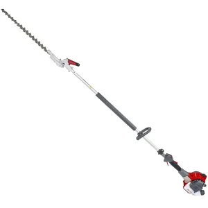 Efco ds 2410 hcl tagliasiepi ad asta a scoppio 1,2 hp 61379073e5 - dettaglio 1