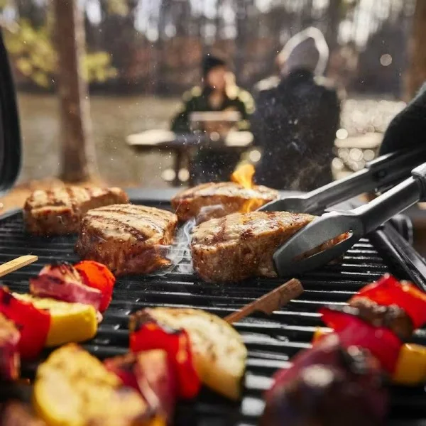 Weber traveler compact barbecue a gas 1501750 - dettaglio 6
