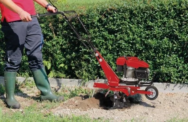 Einhell motozappa a benzina 150 cc 36 cm gc-mt 2536 3430291 - dettaglio 2